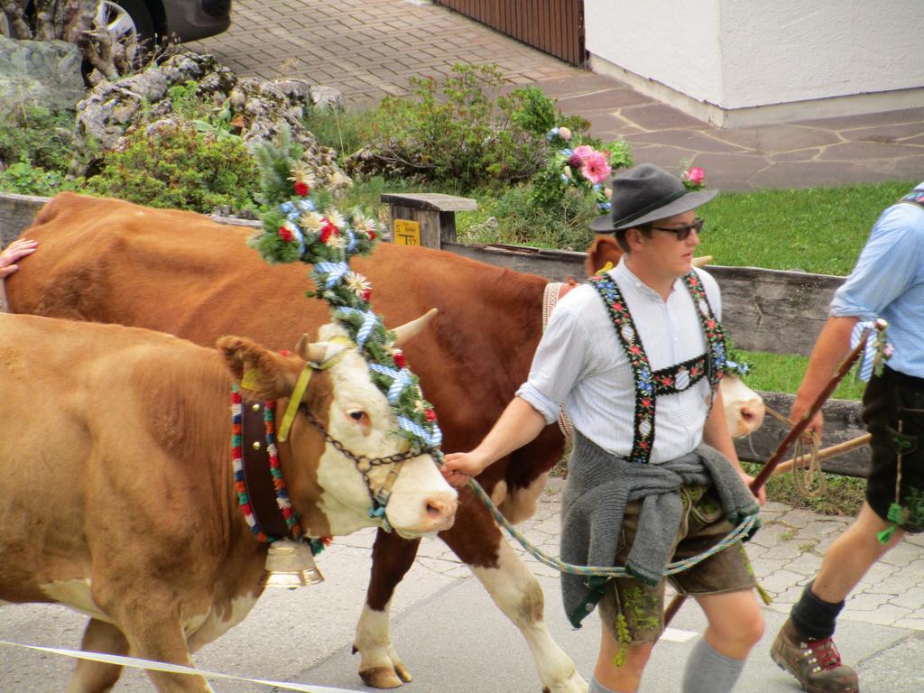 Hotel Alpenhof Валгау Екстериор снимка